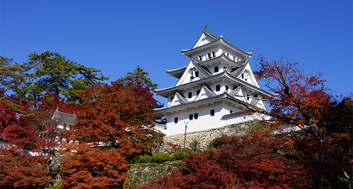 Japanese Castle
